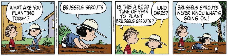 How I Teach Comic Strip Creative Writing in Middle School (ESL-Friendly Art&nbsp;Lesson)